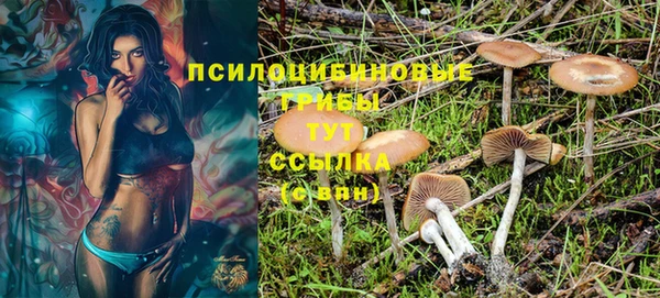 шишки Баксан