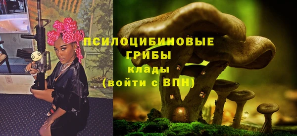 шишки Баксан