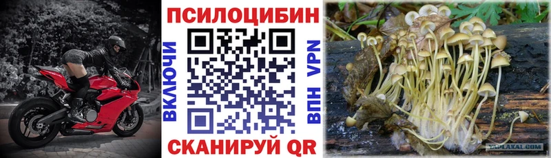 Галлюциногенные грибы мухоморы  Семикаракорск 
